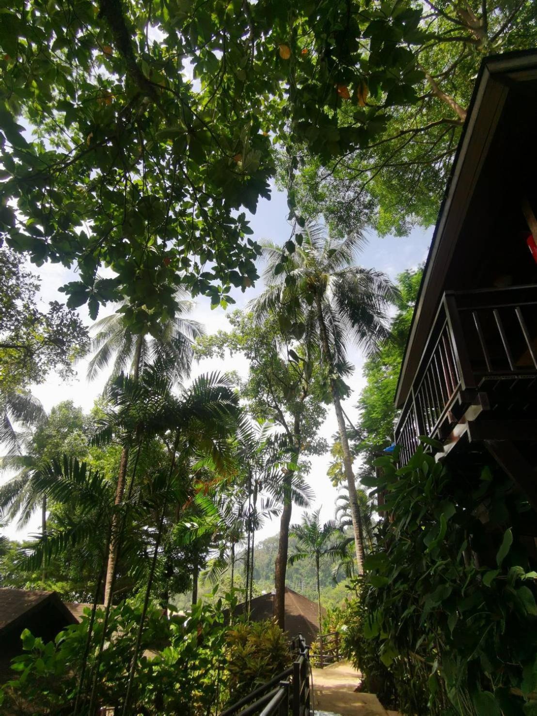 Baan Krating Khao Lak Resort - Sha Plus Εξωτερικό φωτογραφία
