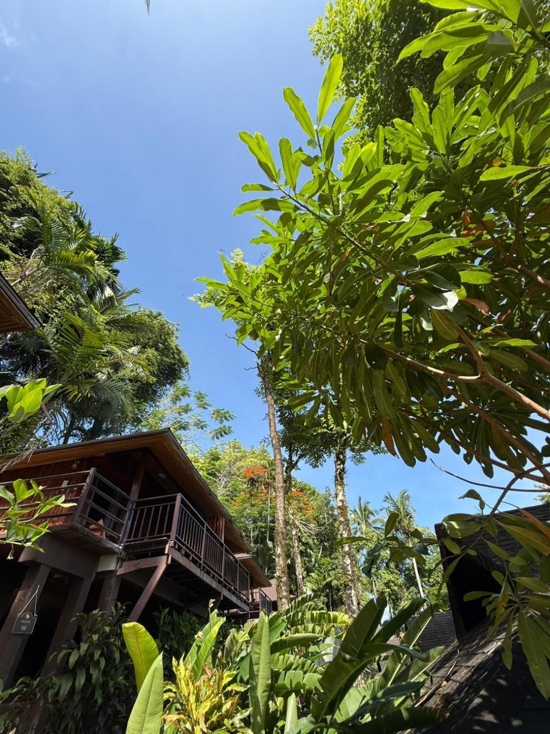 Baan Krating Khao Lak Resort - Sha Plus Εξωτερικό φωτογραφία